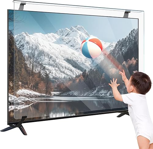 77inch TV Screen Guards